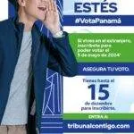Voto-adelantado-por-internet-RERE-REVA-Tribunal-Electoral