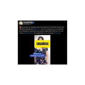 Voto-adelantado-Internet-RERE-REVA-verificadocontigo.com