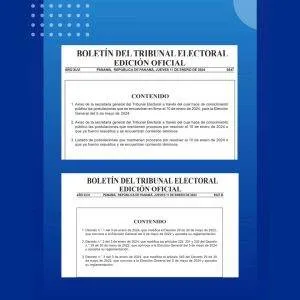 Candidaturas en firme-candidatos-Código Electoral-Decreto-Tribunal Electoral-verificadocontigo.com-Boletín Electoral