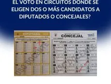 Circutio plurinominal-circuitos plurinominales-voto plancha-Tribunal Electoral-verificadocontigo.com
