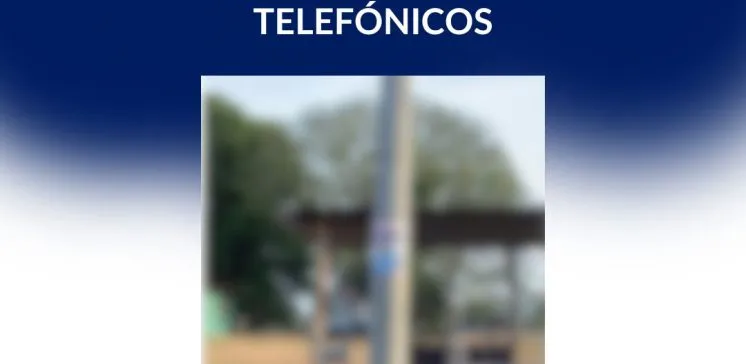 Propaganda electoral-postes-Tribunal Electoral-verificadocontigo.com