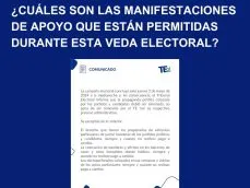 Tribunal Electoral-veda electoral-TE-verificadocontigo.com (10)