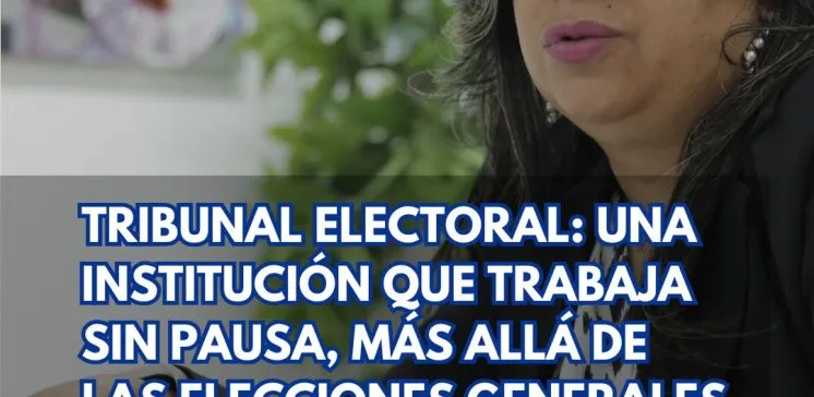 partidos políticos-elecciones Panamá-elecciones internas-Magda Ceballos-TE-Tribunal Electoral Panamá-verificadocontigo.com-jefa partidos políticos-1