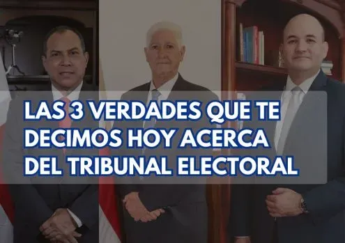 3 verdades sobre el Tribunal Electoral-magistrados Tribunal Electoral-TE-verificadocontigo.com